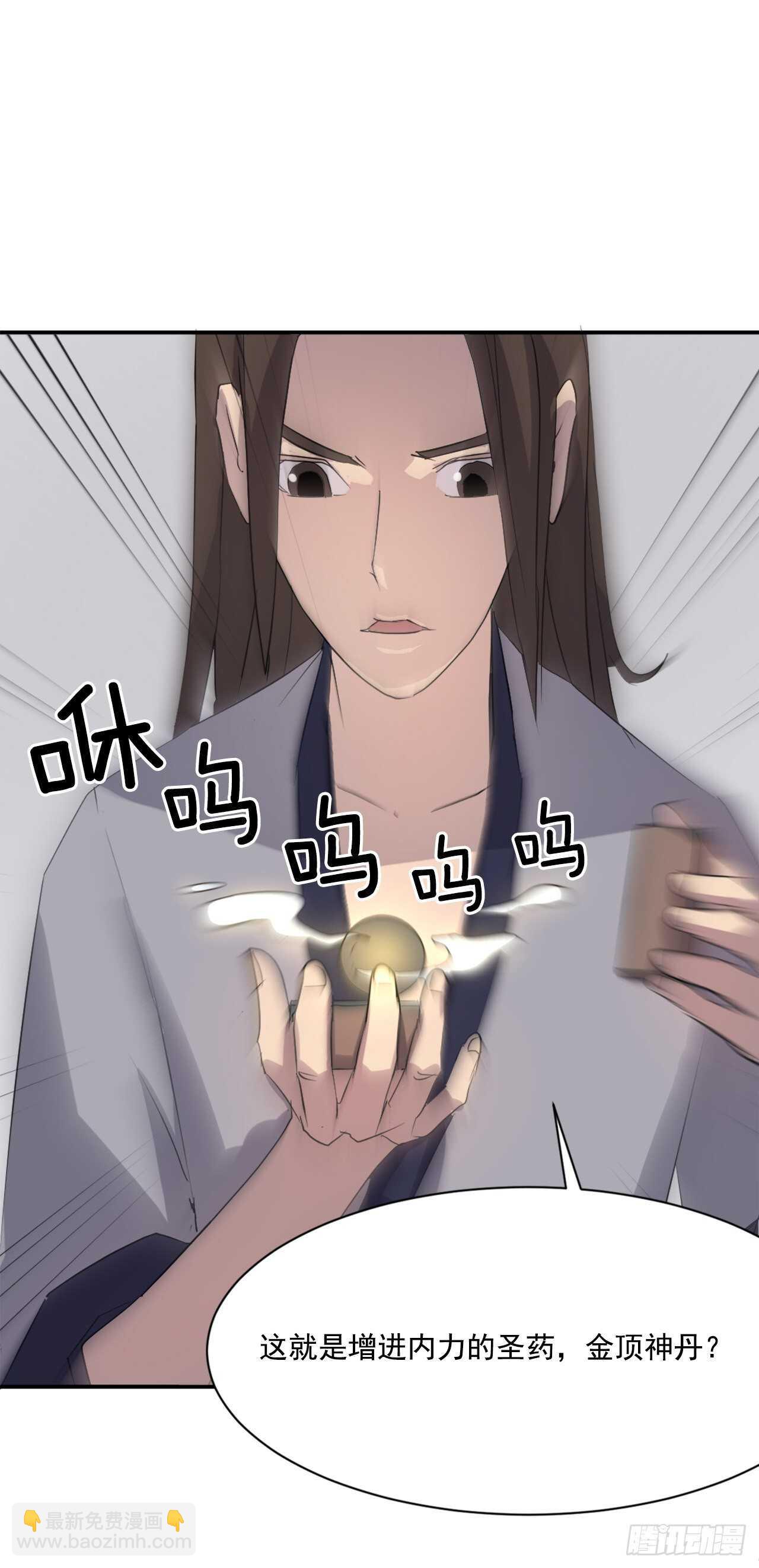 29.金顶神丹72