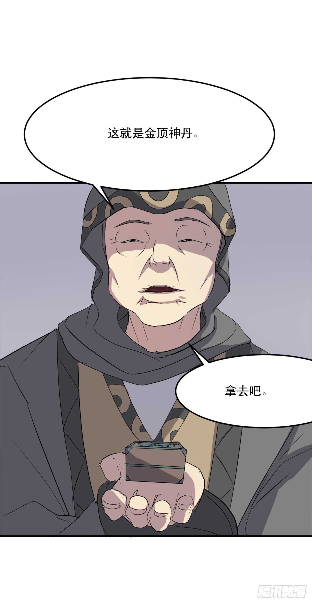 29.金顶神丹55