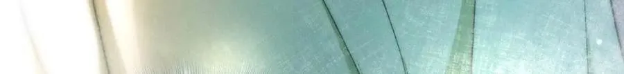 63 为了她活着50