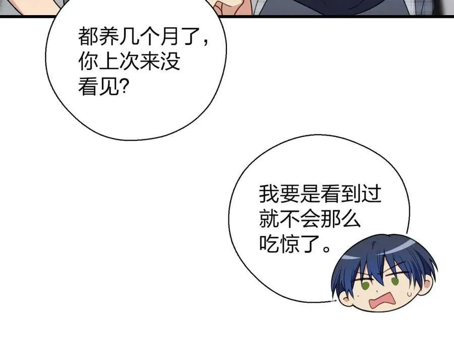 66 为什么吵架？99