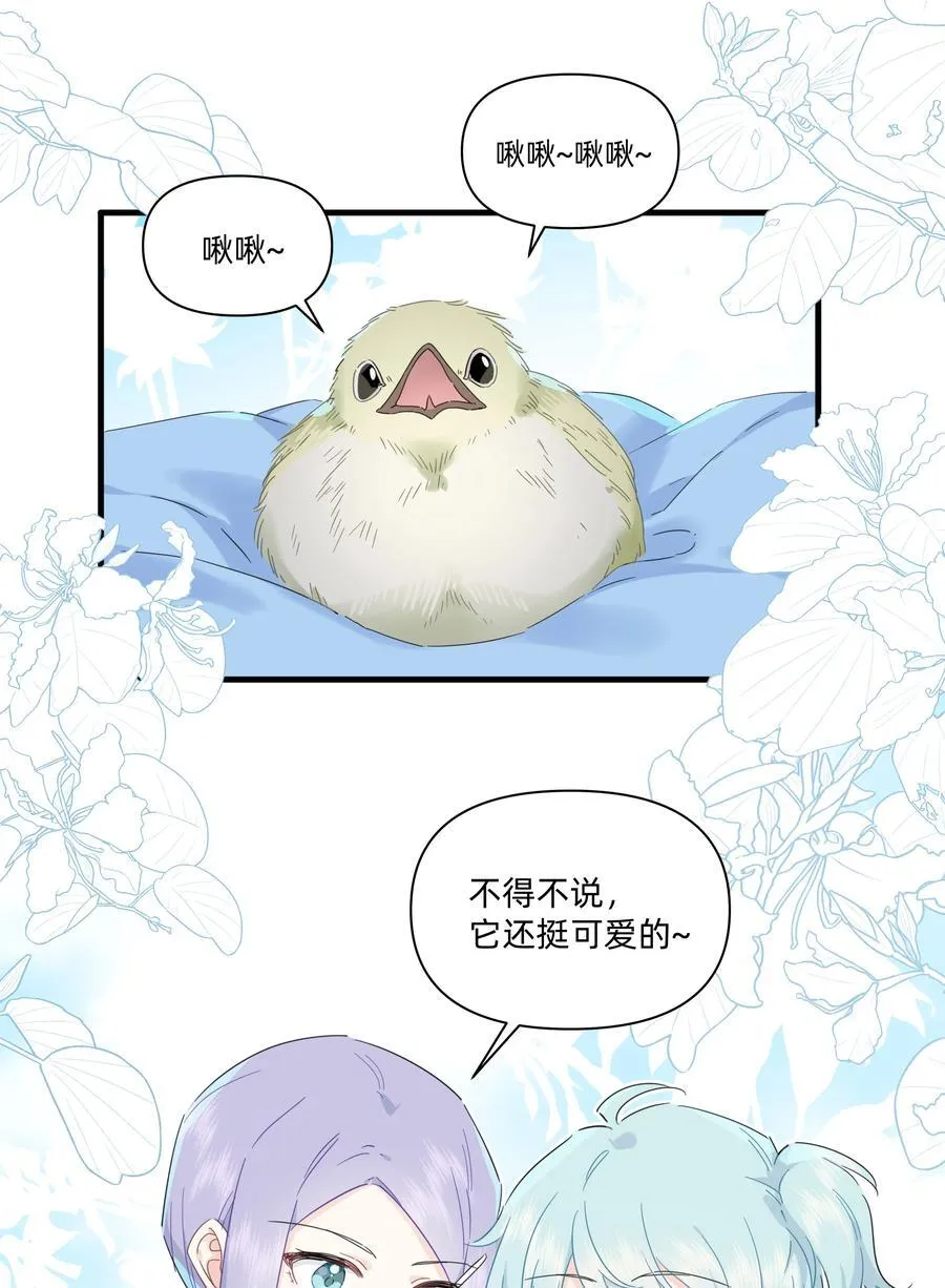 033 君子不立于危墙之下33