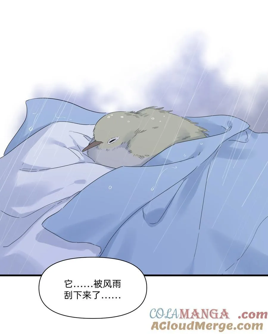 033 君子不立于危墙之下28