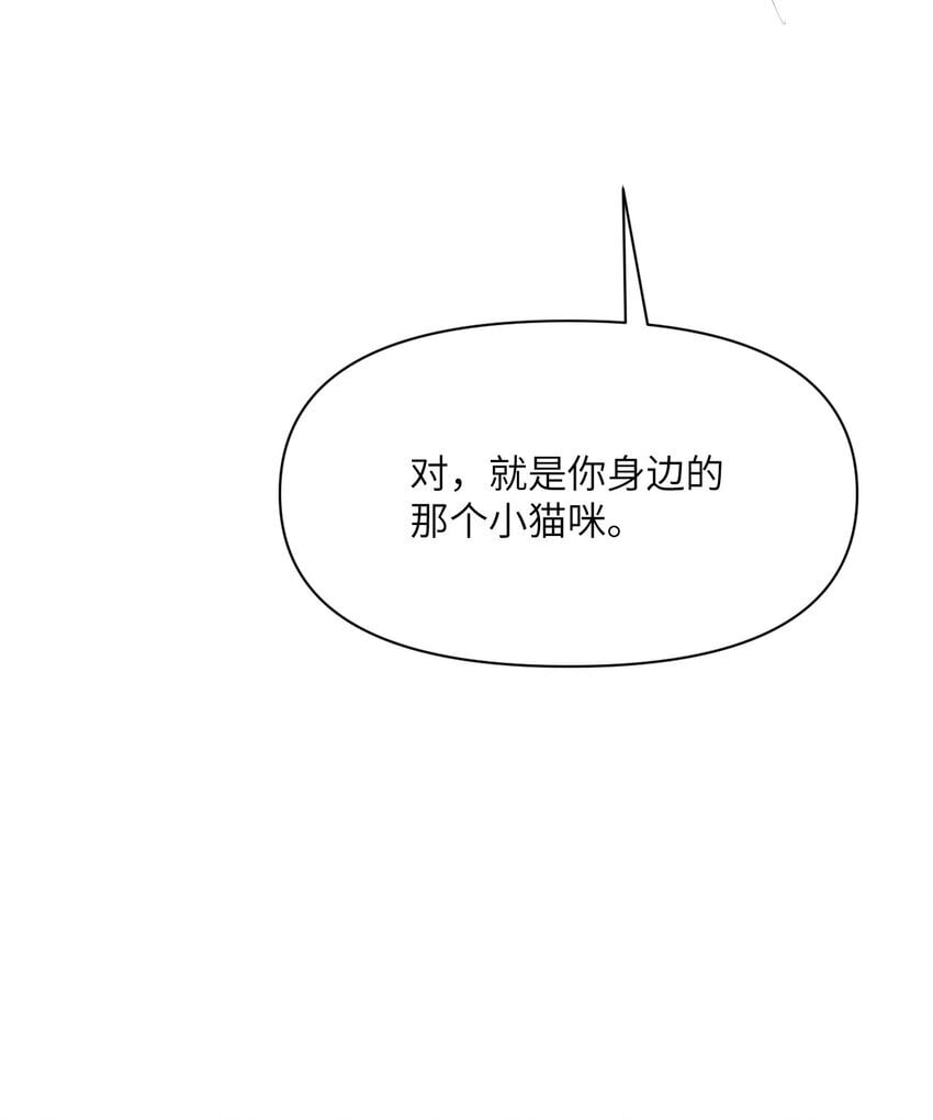 40 逼近的教会猎犬42