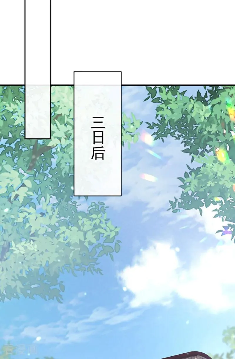 第67话 你就自求多福吧11