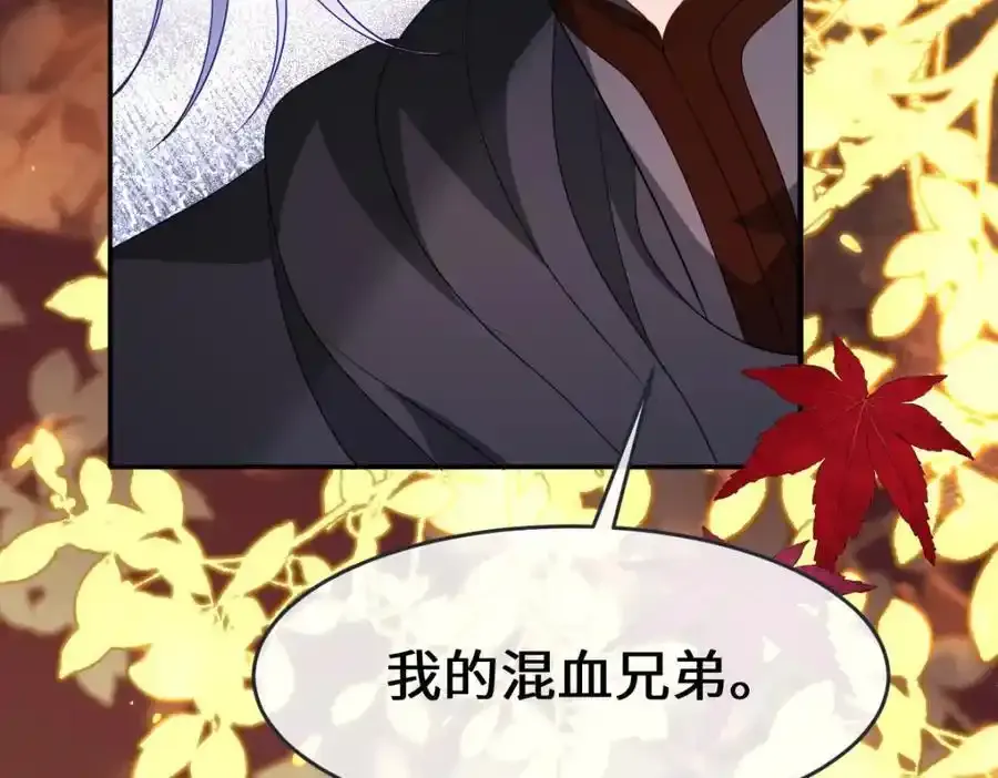 第34话 中级魔法123
