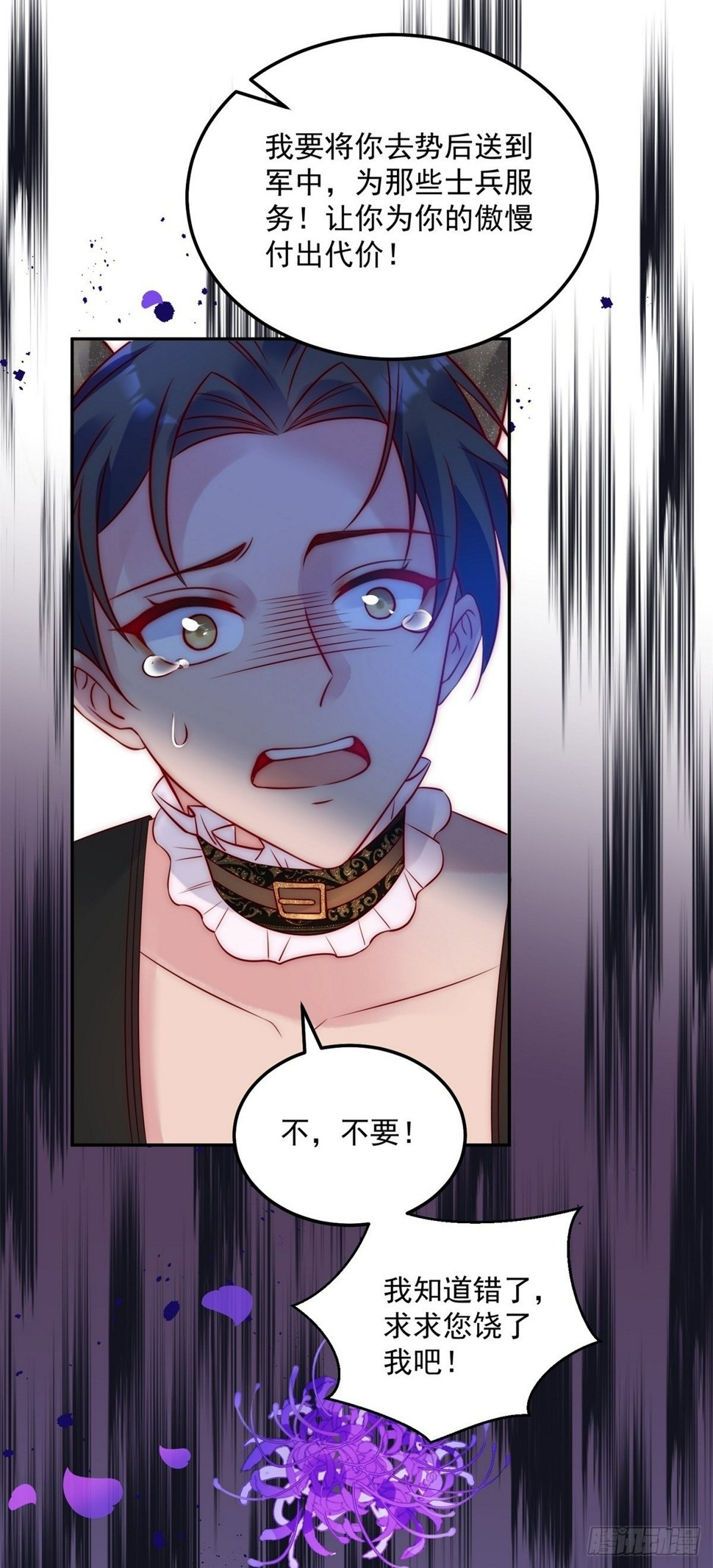 第49话 新的宠物3