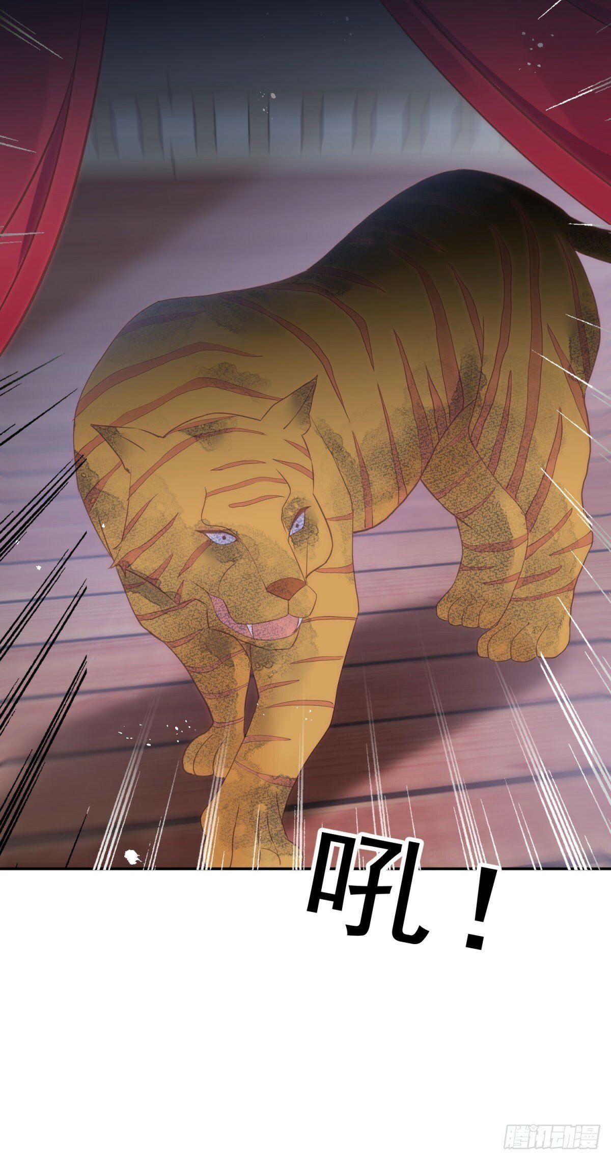 第61话 特殊的礼物4