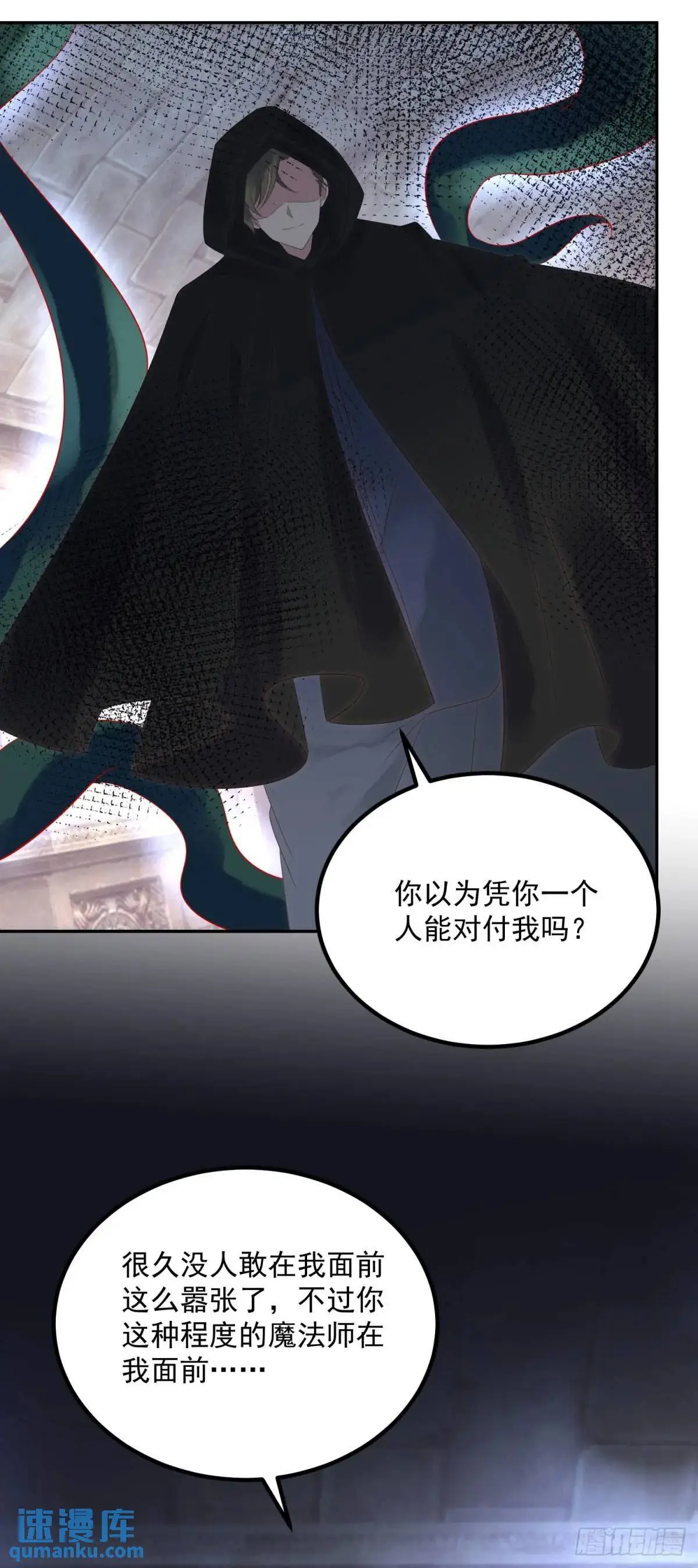 第72话 神秘人11