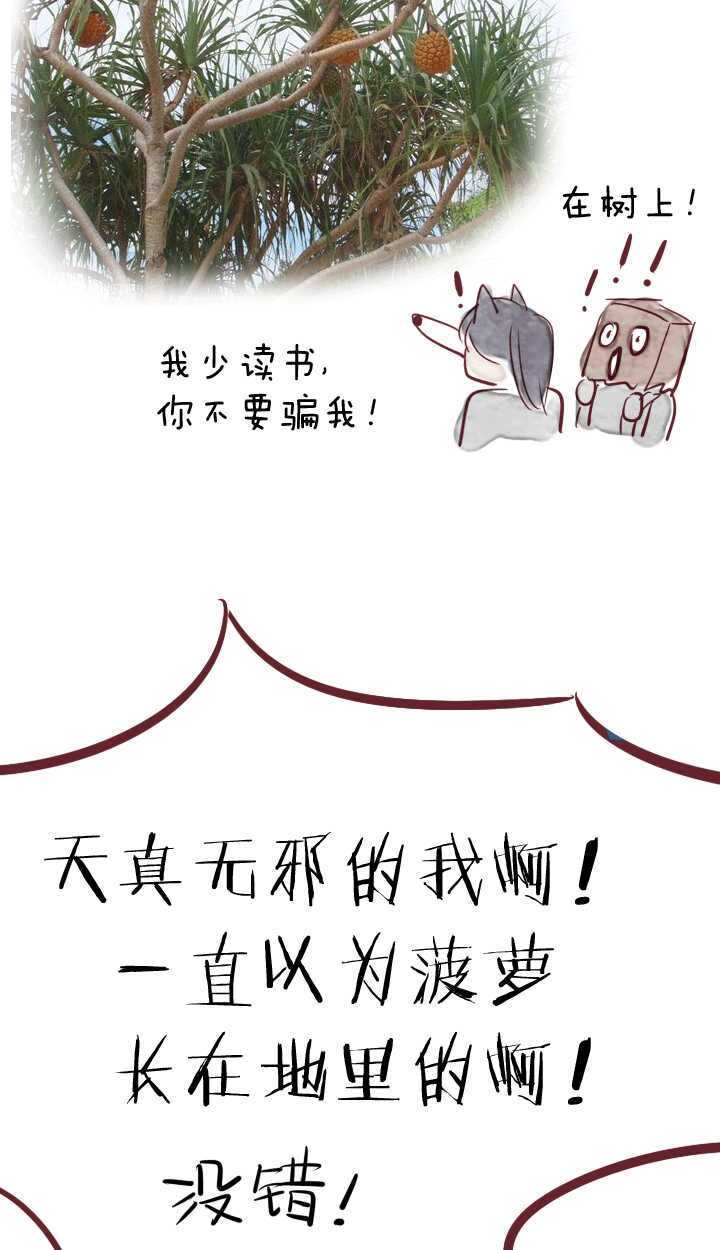055 又一扇新世界大门打开了35