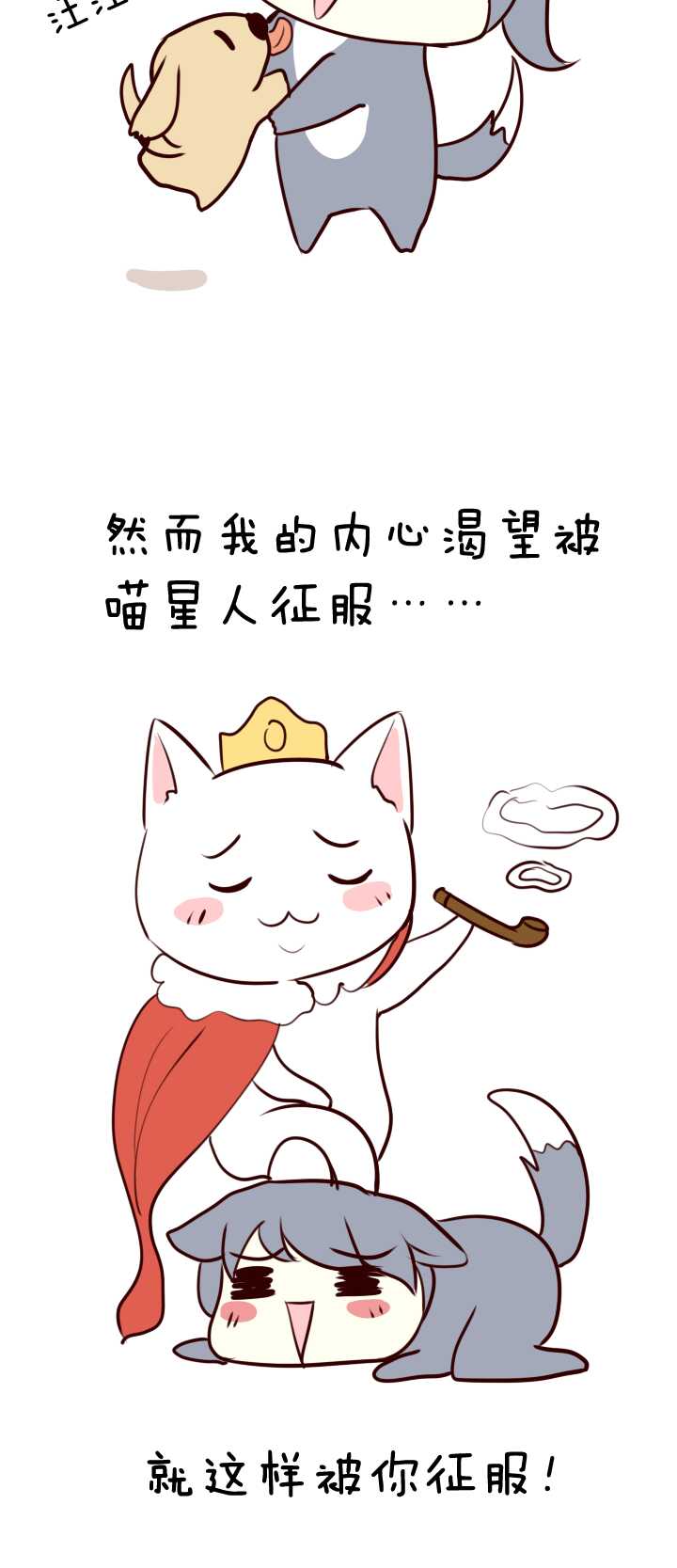 065 马尔代夫的笔会！-0231