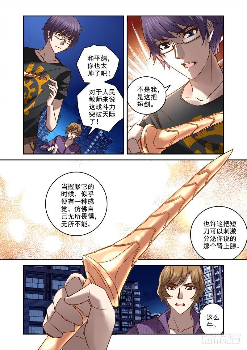 40.和平鸽不和平5