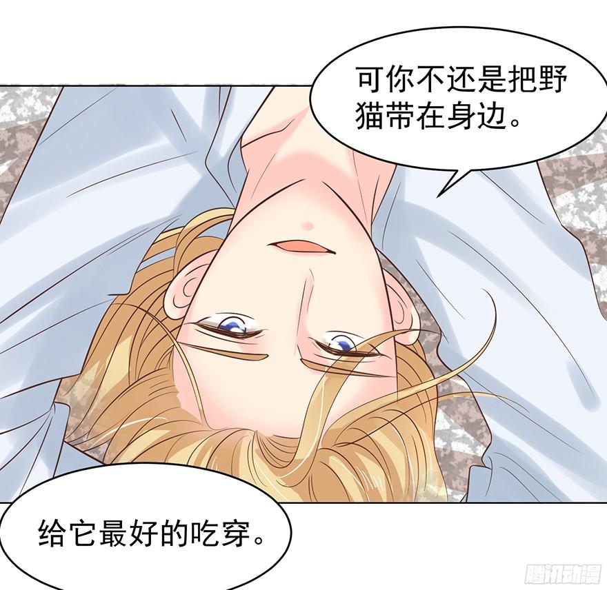 小野猫3
