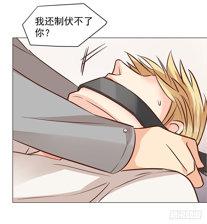 狗急咬人4