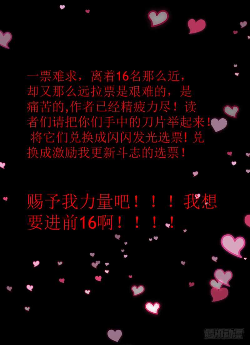 97.猫的乐趣16