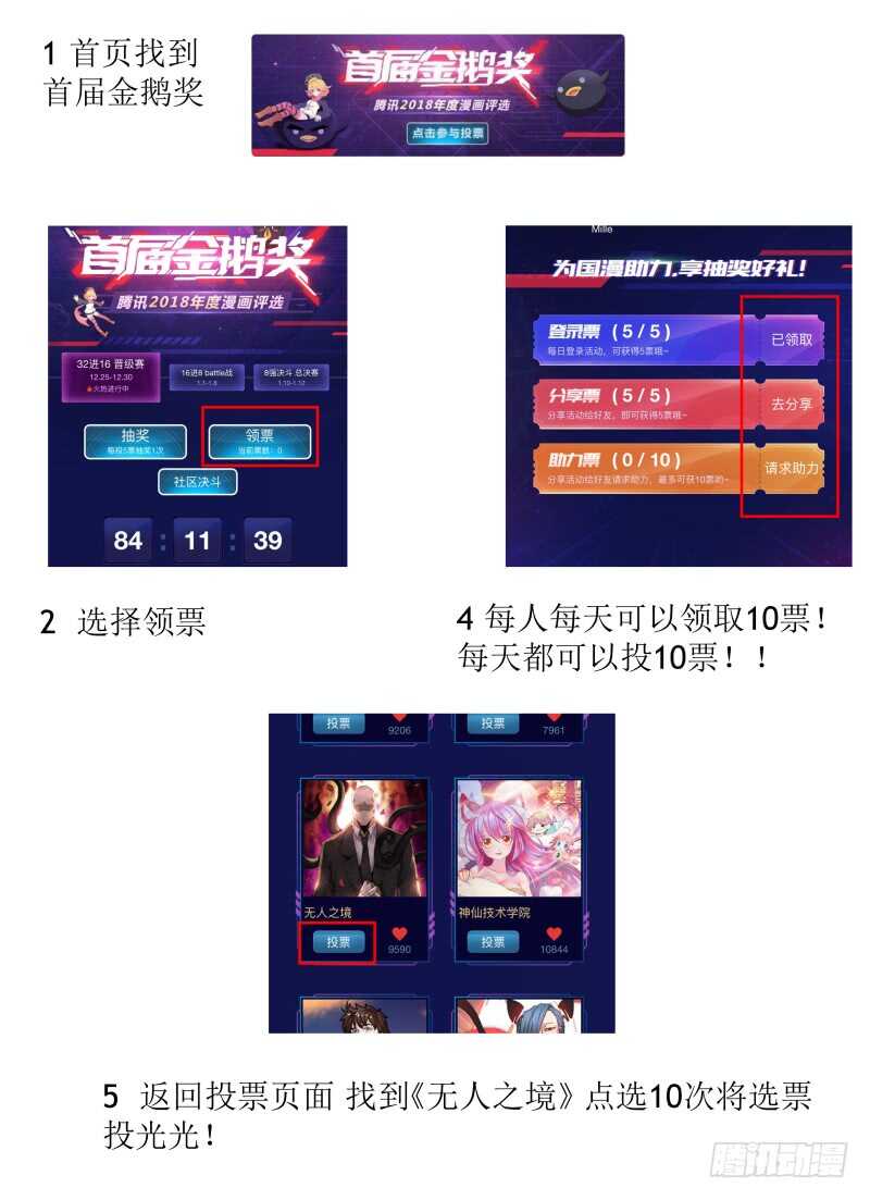 97.猫的乐趣17