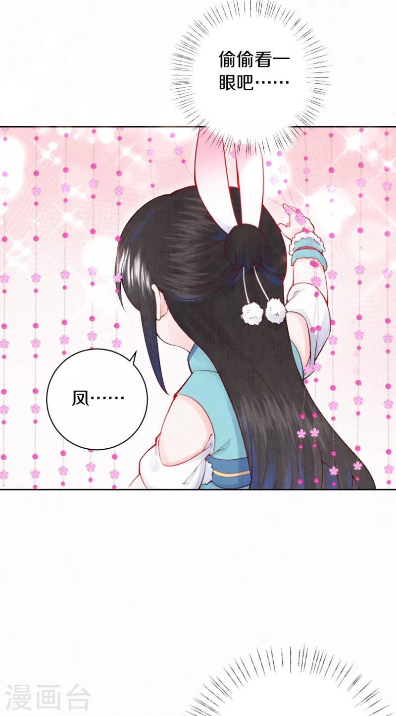 第15话 凤君的美貌天下无双8