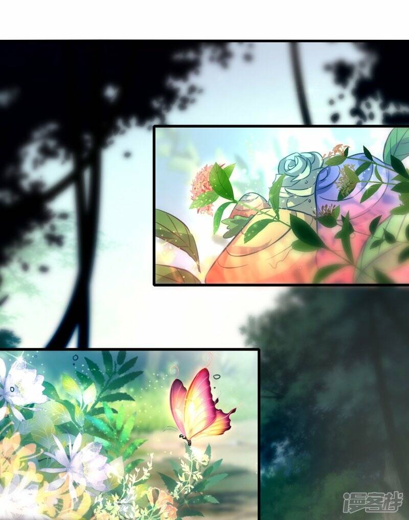 第54话 宝贵草药8