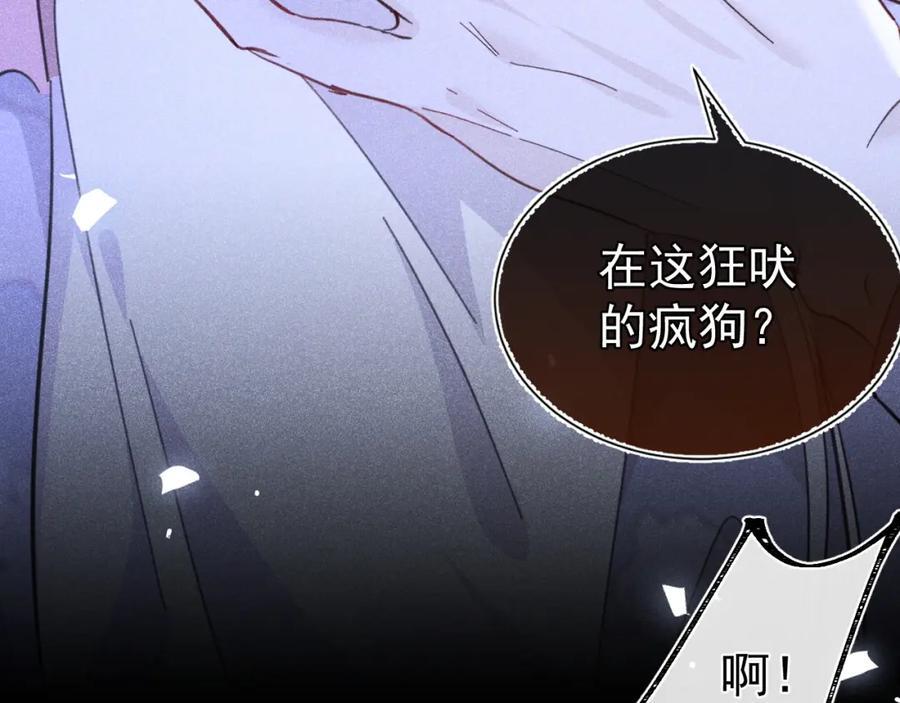 004 最佳女王86