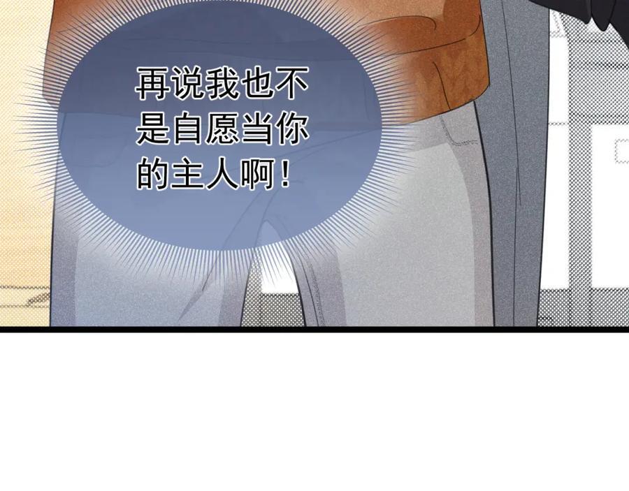 008 首见成员153