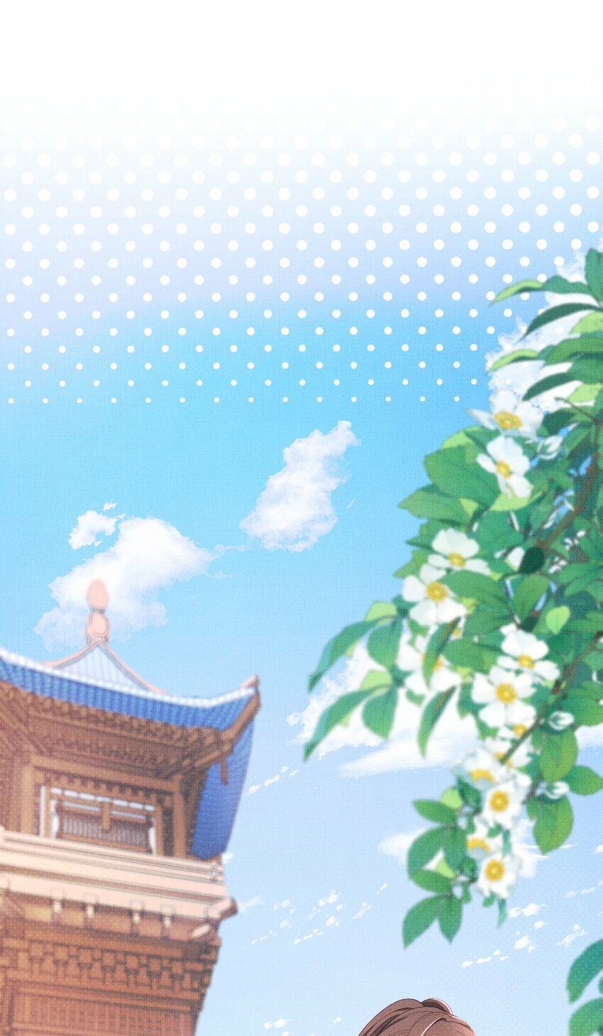 第五回 奇葩的贺礼2
