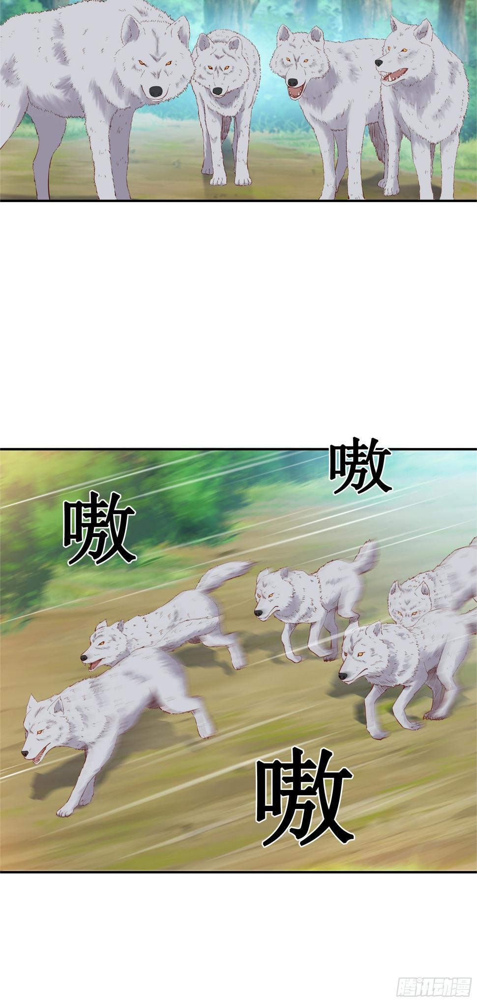 36   五连鞭13