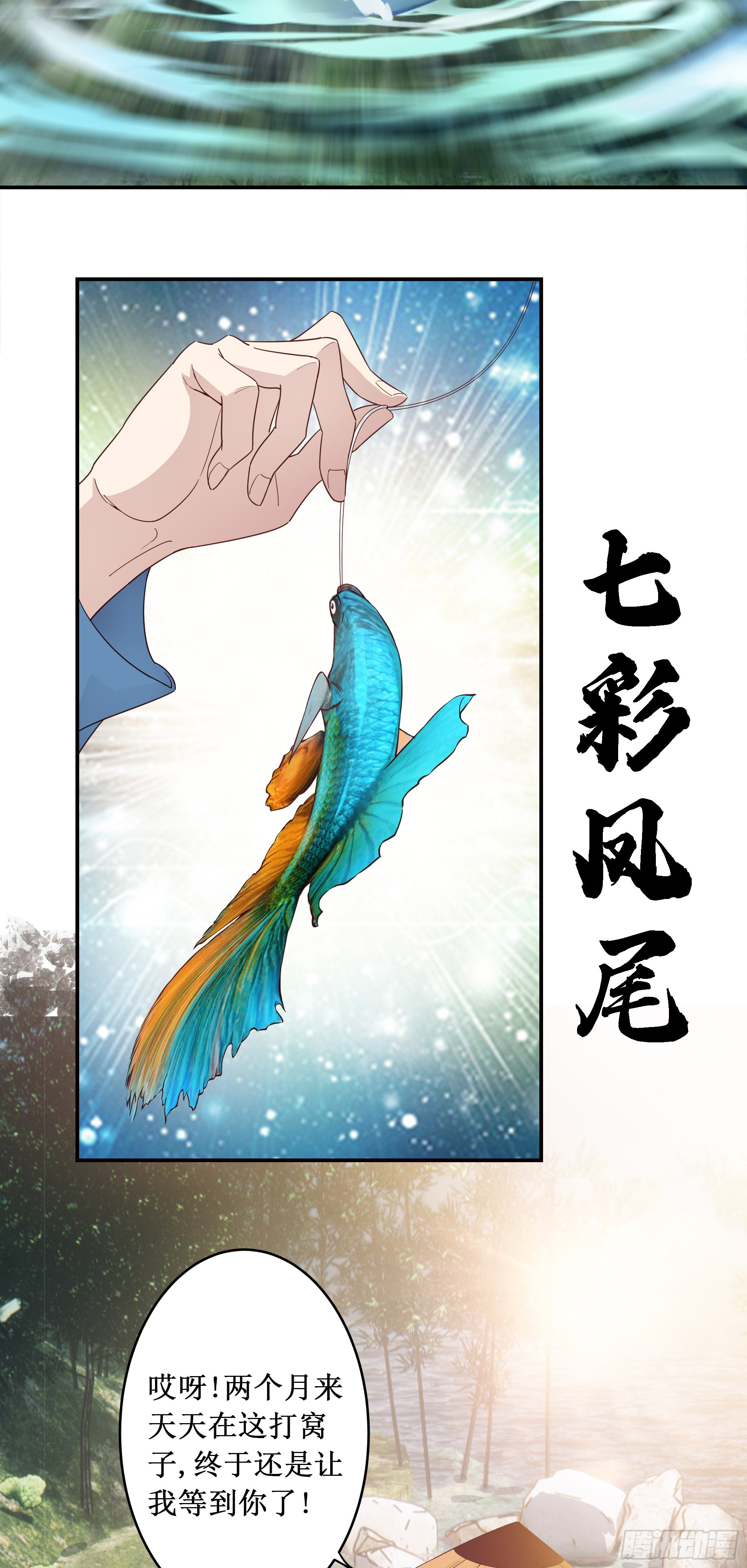3   七彩凤尾23