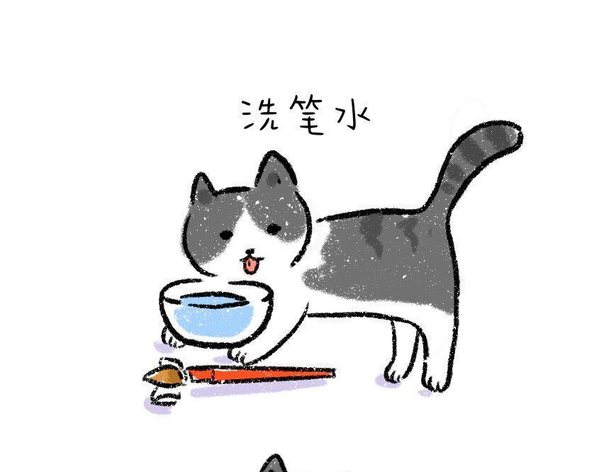 家里多了只猫2