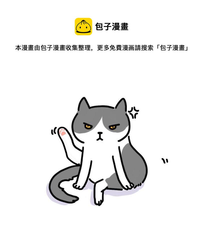 家里多了只猫0
