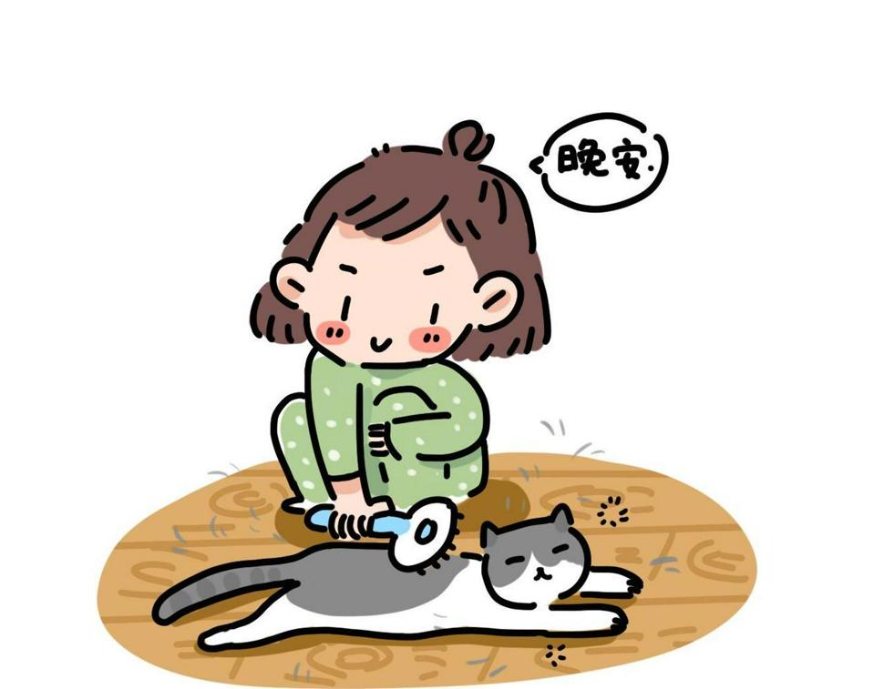 家里多了只猫9