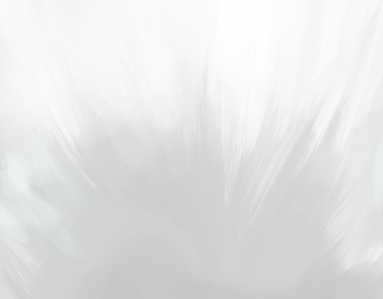 第一回  「家族」11