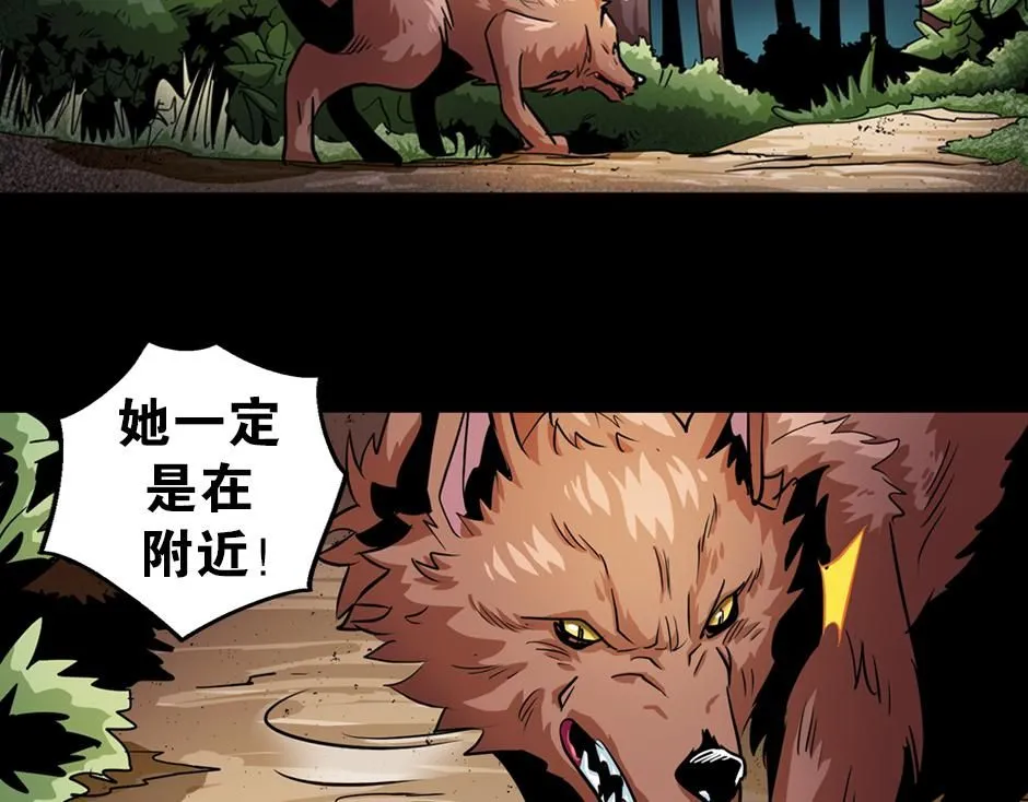 红色斗篷69