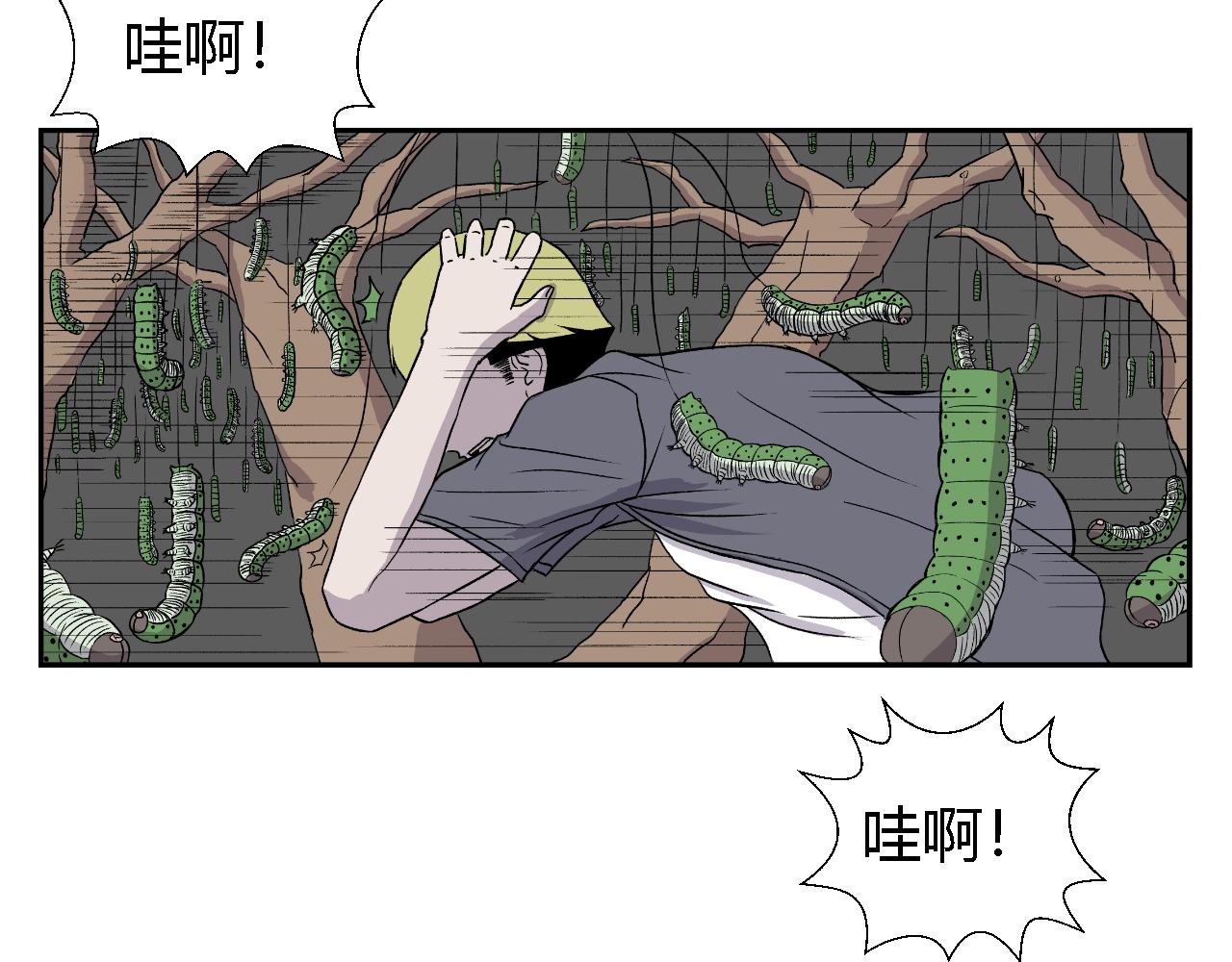 虫子0228