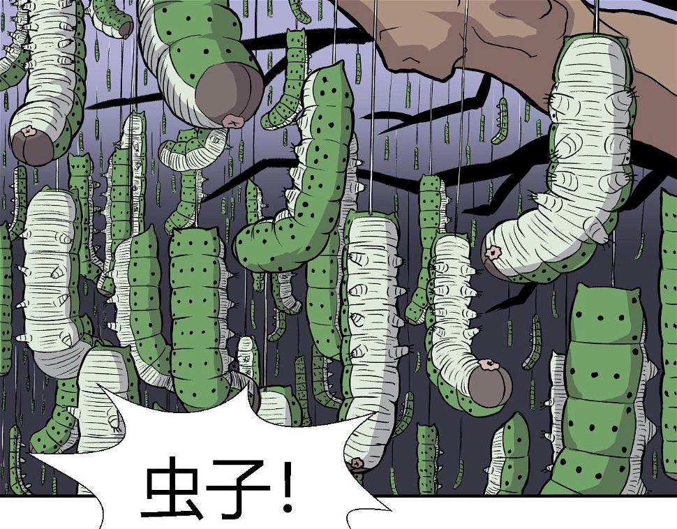 虫子0226