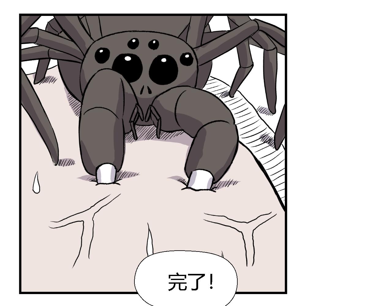 虫子0237