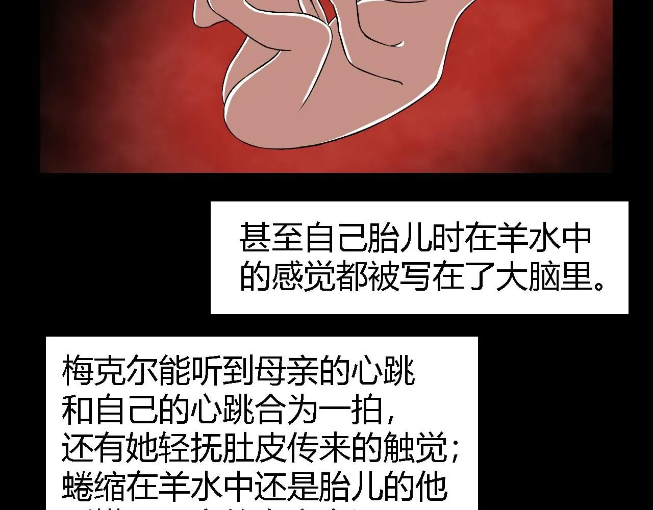 创造灵魂0337