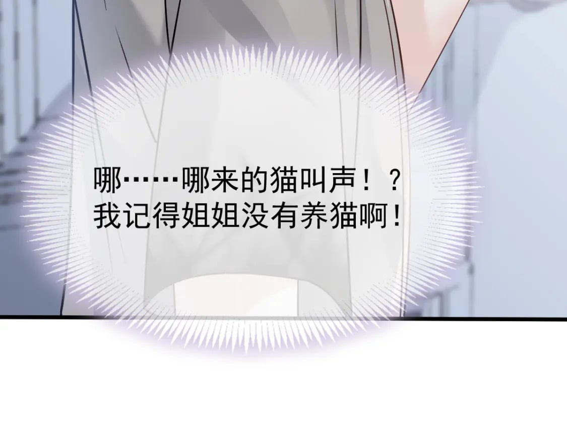 024 性感小猫咪62