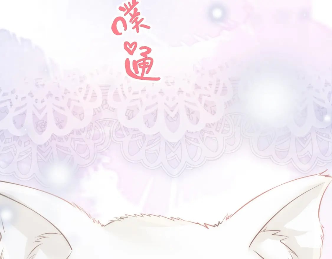 024 性感小猫咪106