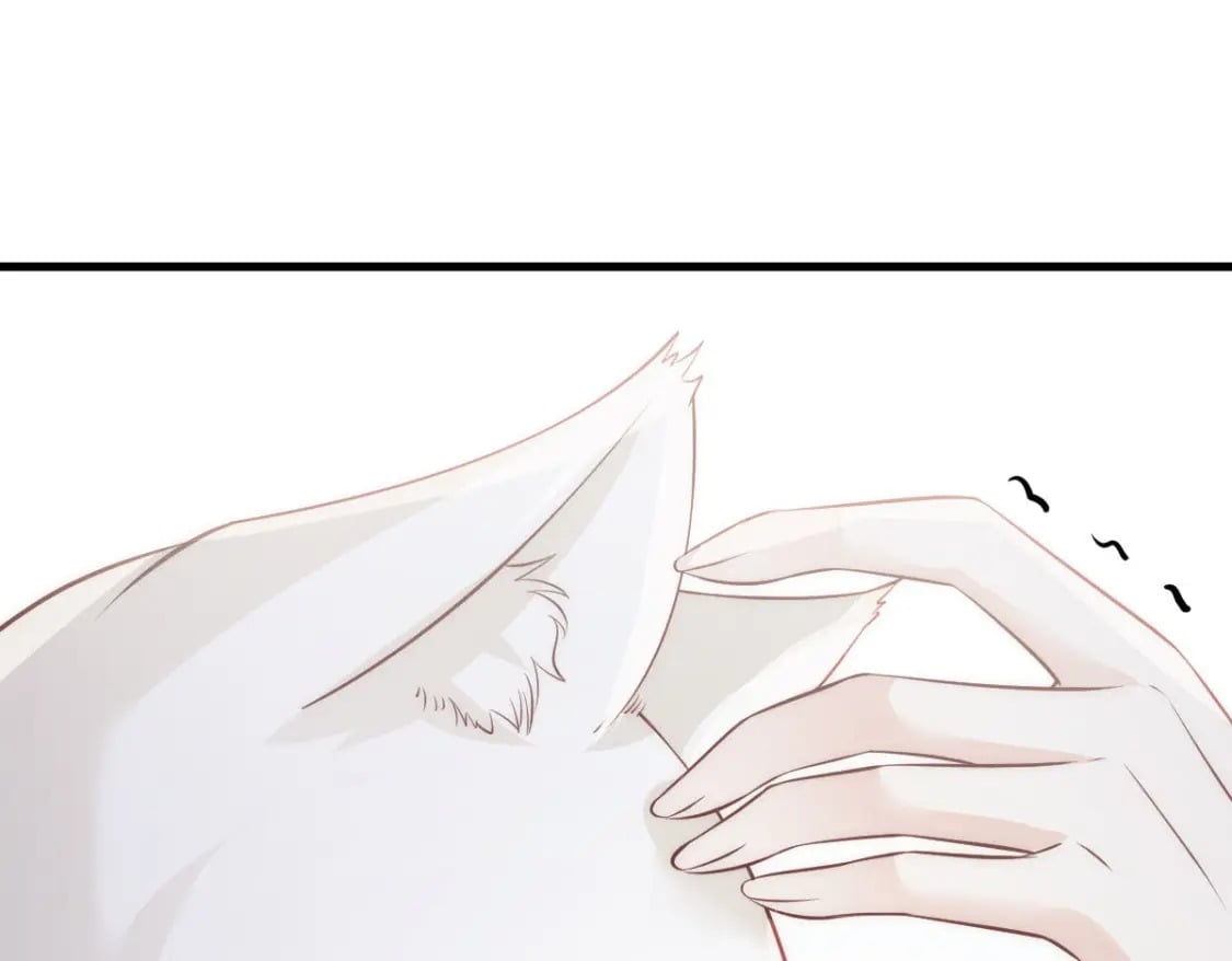 024 性感小猫咪92