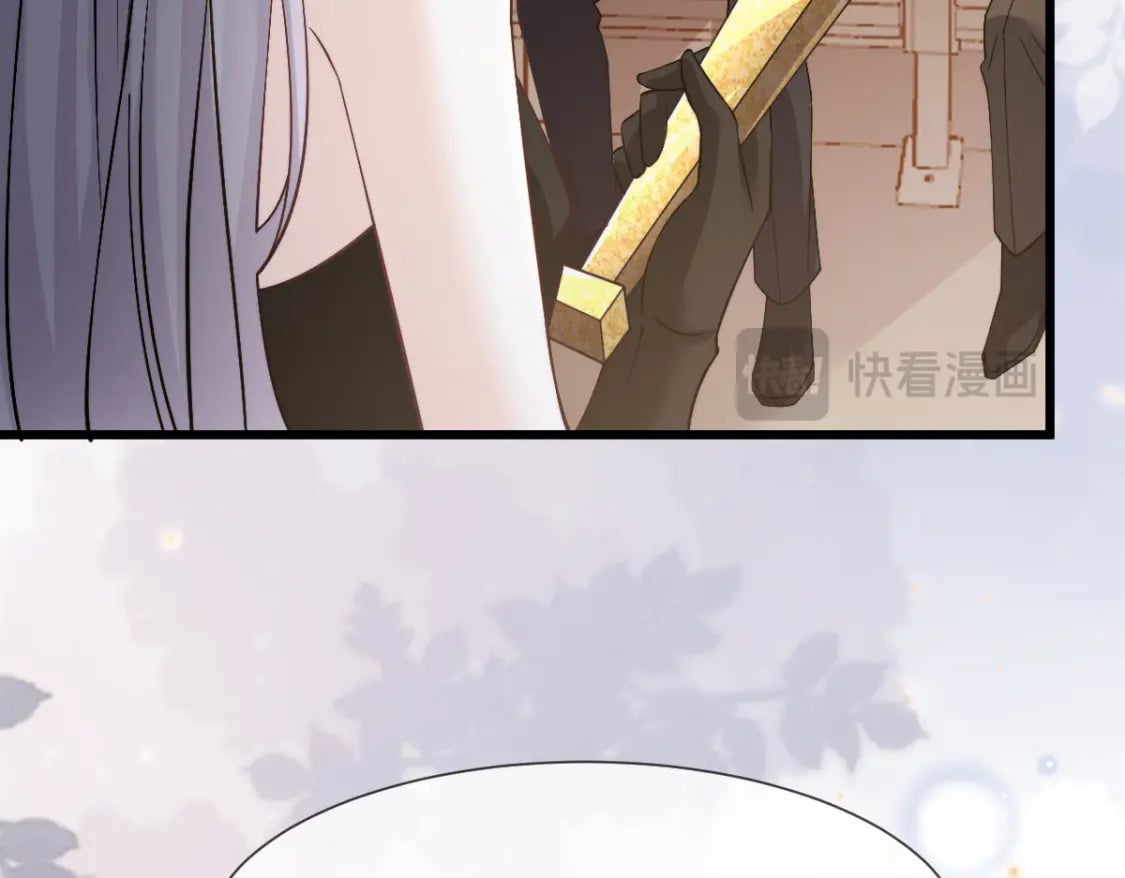 040 完美撒花156