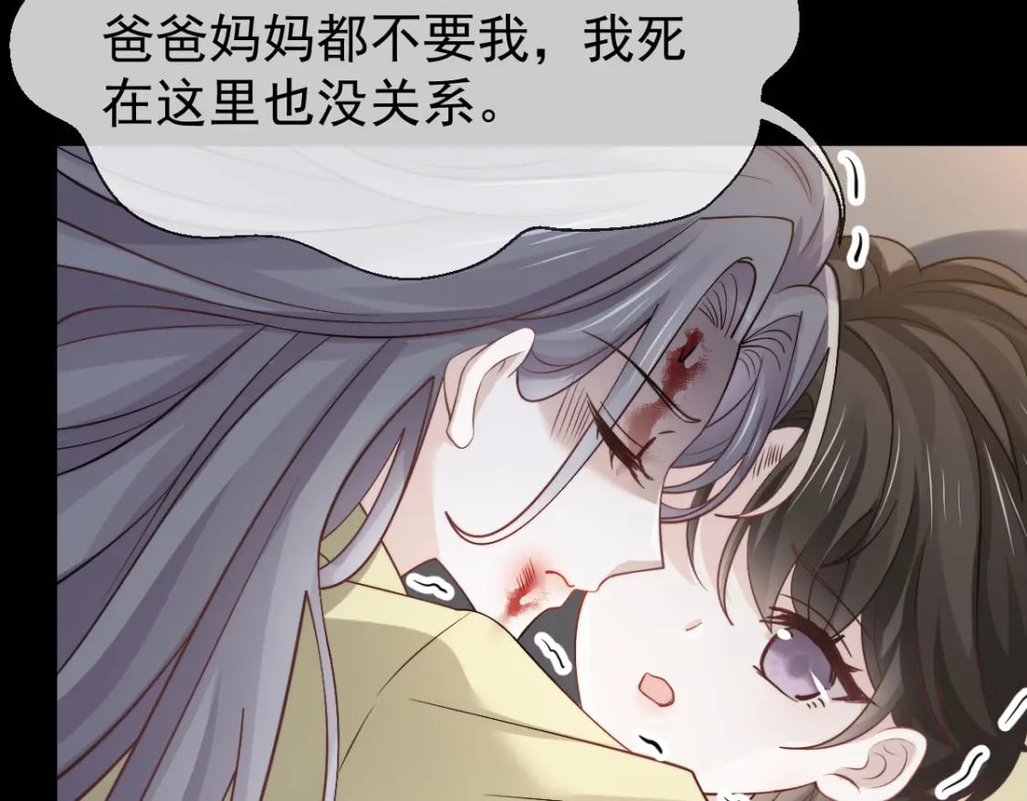 040 完美撒花48