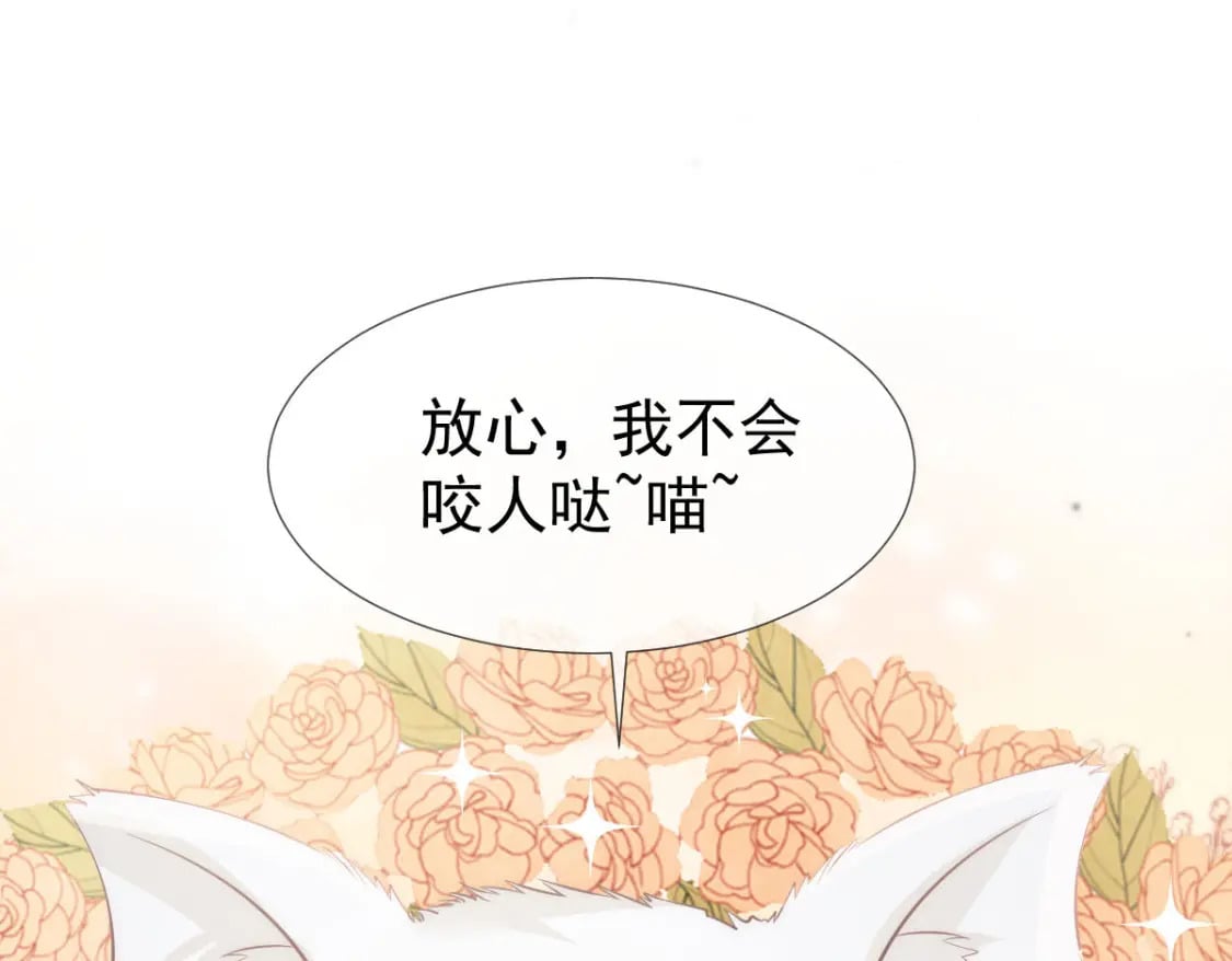 024 性感小猫咪78