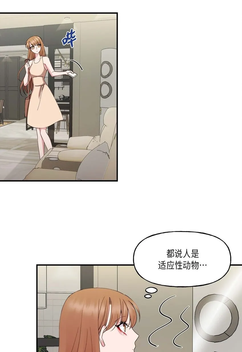 24 想要的条件请你提一下43