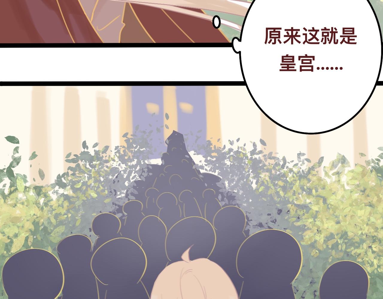 柒*星之王32