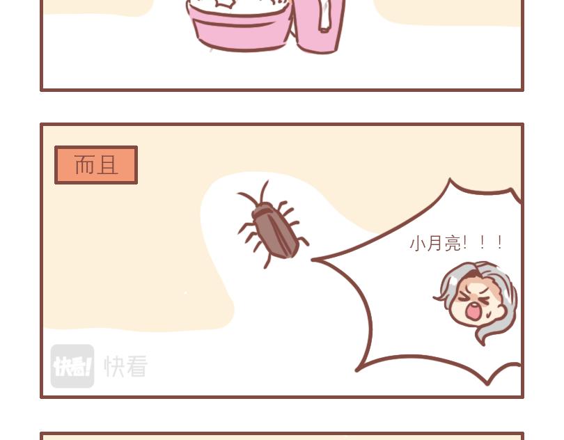 别人家的孩子15