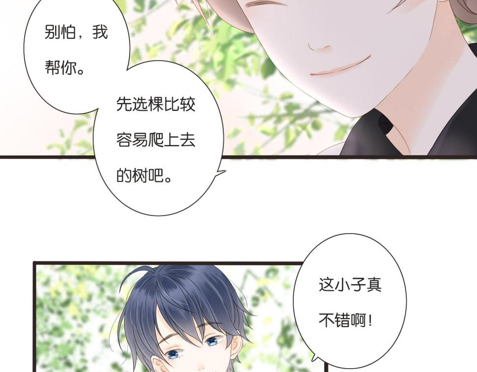 第11话 龙眼树下的女孩4
