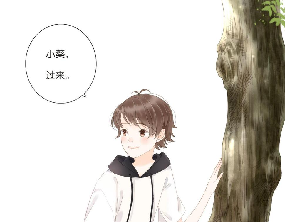 第11话 龙眼树下的女孩6