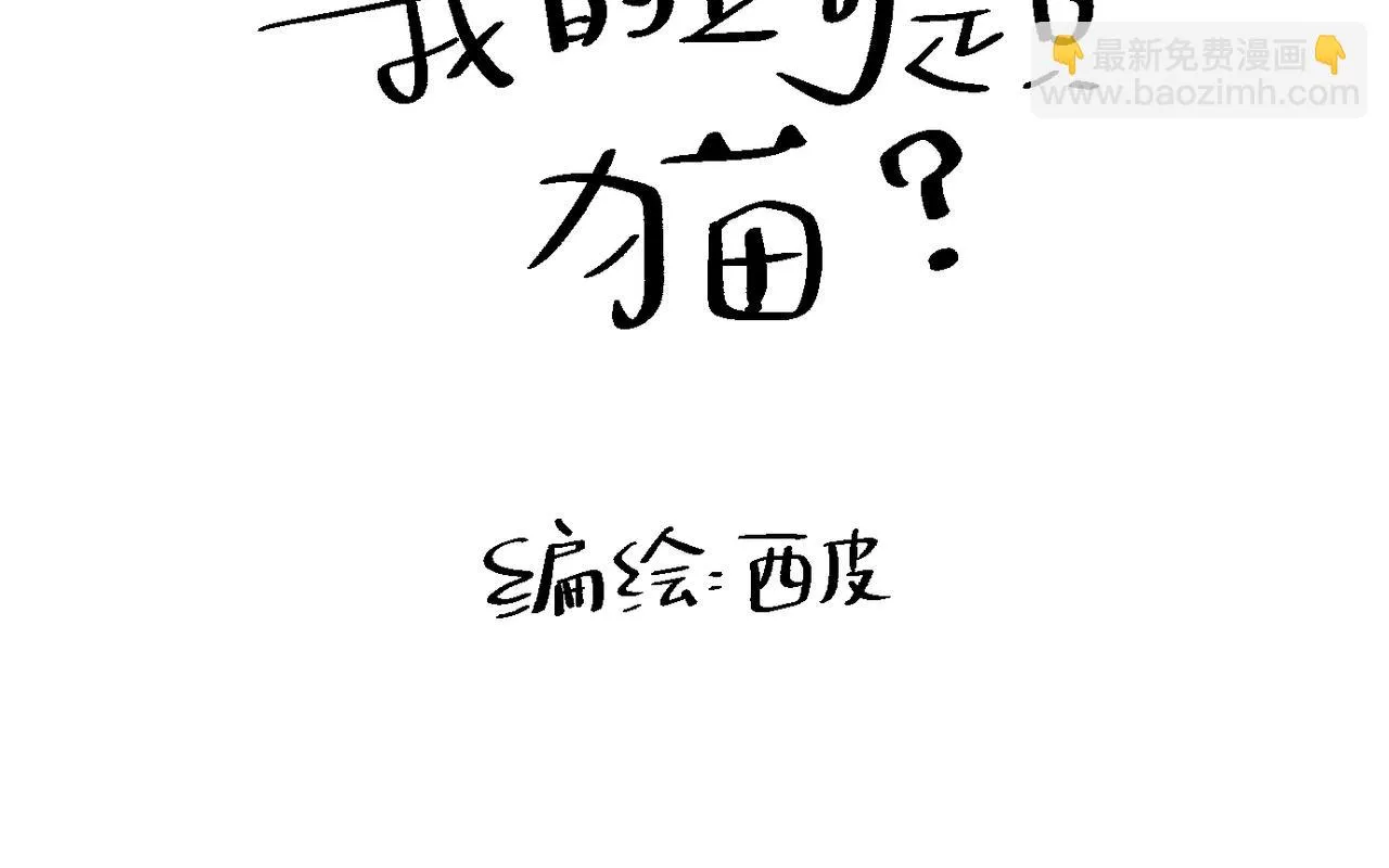 终于拥有了工作！18