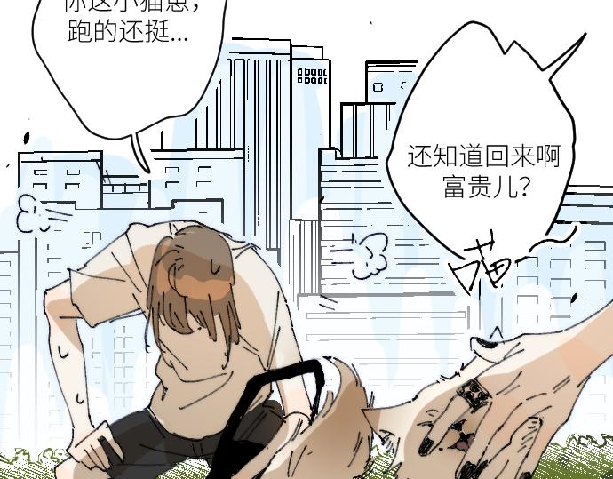 你惨啦你坠入爱河啦61