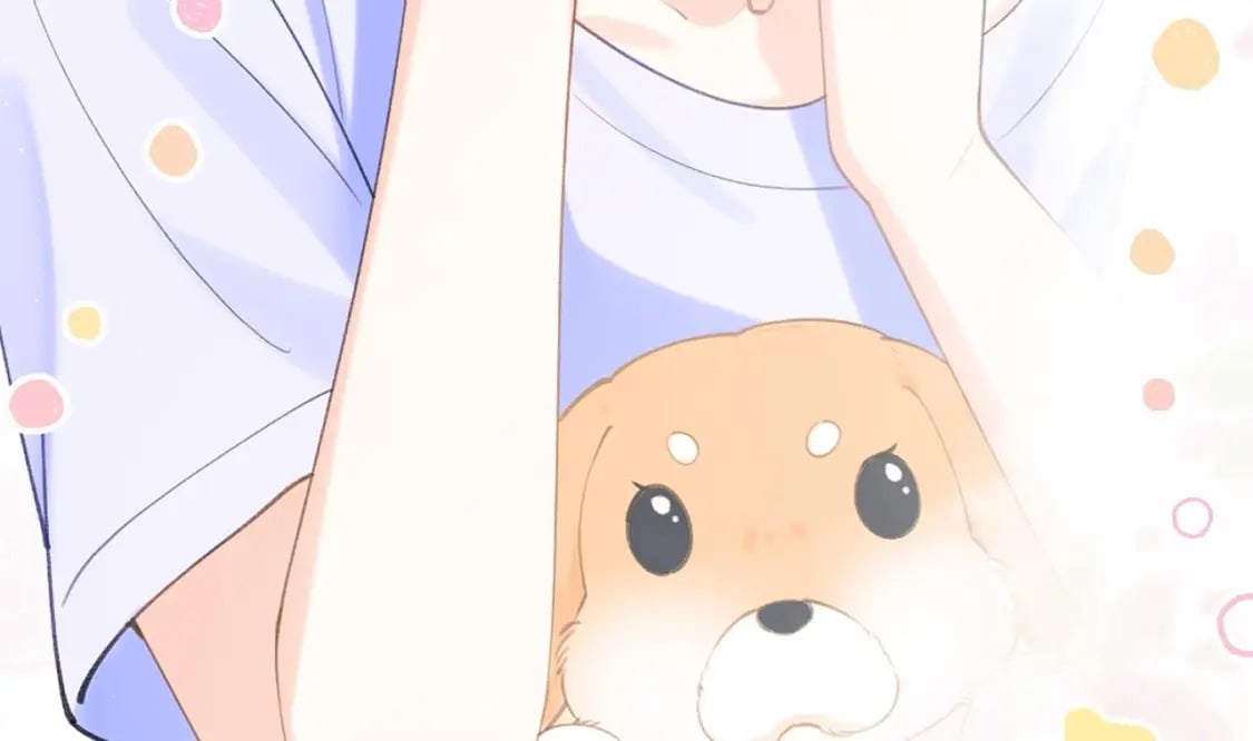 第0话  预告来啦3