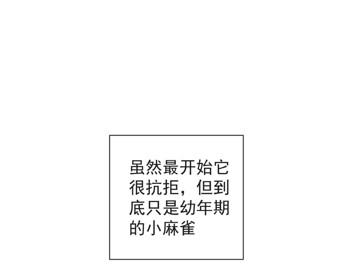 第五话-这野狐狸竟然是九昭蓉！22
